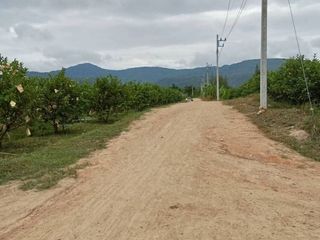For sale land in Ban Kha, Ratchaburi