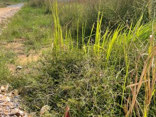 For sale land in Cha Am, Phetchaburi