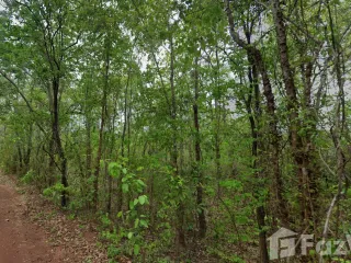 For sale land in Mueang Sakon Nakhon, Sakon Nakhon