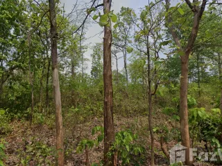 For sale land in Mueang Sakon Nakhon, Sakon Nakhon