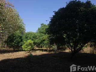 For sale land in Wiang Pa Pao, Chiang Rai