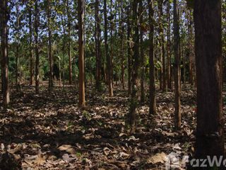 For sale land in Wiang Pa Pao, Chiang Rai