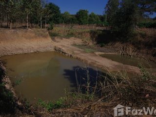 For sale land in Wiang Pa Pao, Chiang Rai