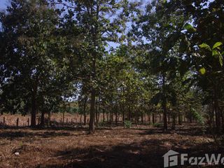 For sale land in Wiang Pa Pao, Chiang Rai