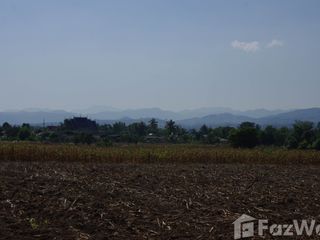 For sale land in Wiang Pa Pao, Chiang Rai