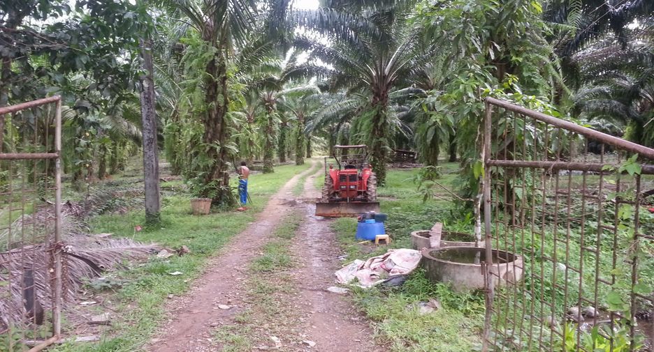 For sale land in Khura Buri, Phang Nga