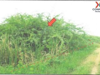 For sale 1 bed land in Tha Yang, Phetchaburi