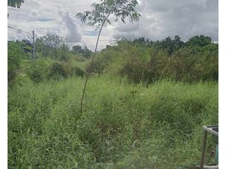 For sale land in Mueang Phichit, Phichit