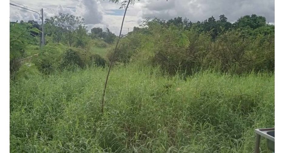 For sale land in Mueang Phichit, Phichit