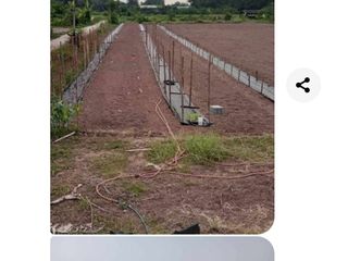 For sale land in Mueang Phichit, Phichit