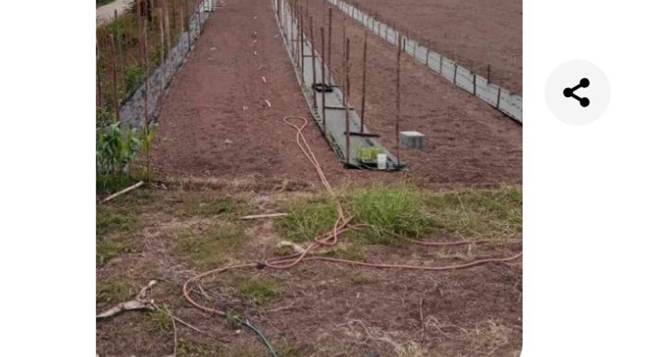 For sale land in Mueang Phichit, Phichit