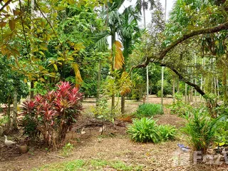 For sale land in Klaeng, Rayong