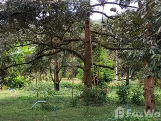 For sale land in Klaeng, Rayong