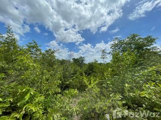 For sale land in Bo Phloi, Kanchanaburi