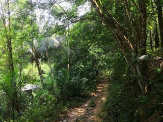 For sale land in Mueang Ranong, Ranong