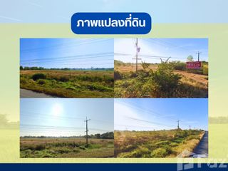 For sale land in Non Sung, Nakhon Ratchasima