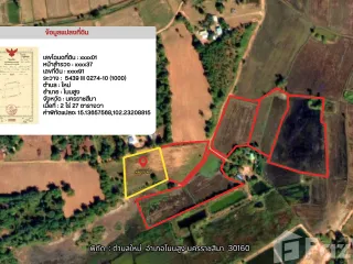 For sale land in Non Sung, Nakhon Ratchasima