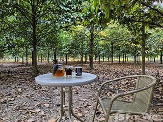 For sale land in Makham, Chanthaburi