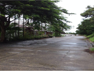 For sale land in Mueang Phuket, Phuket