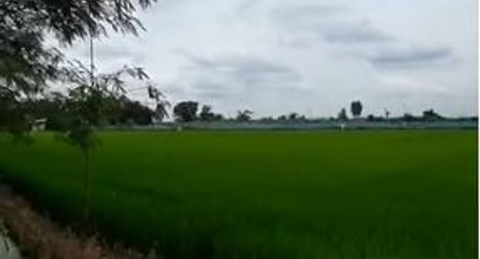 ขาย ที่ดิน ใน เมืองนครปฐม, นครปฐม