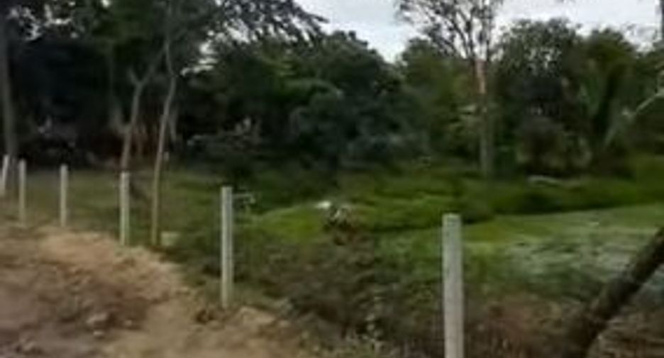 ขาย ที่ดิน ใน เมืองนครปฐม, นครปฐม