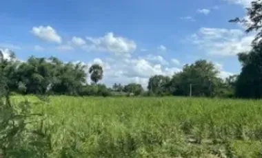 For sale land in Mueang Nakhon Pathom, Nakhon Pathom