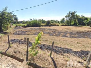 For sale land in Mueang Nong Khai, Nong Khai