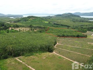 For sale land in Thalang, Phuket