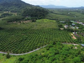 For sale land in Thalang, Phuket