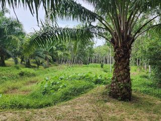 For sale land in Thalang, Phuket