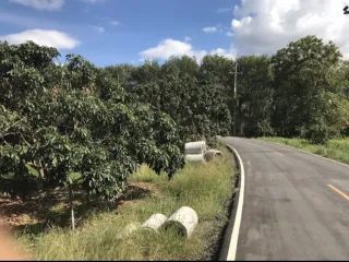 For sale land in Soi Dao, Chanthaburi
