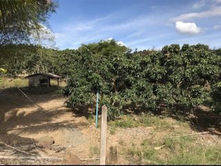 For sale land in Soi Dao, Chanthaburi