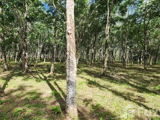 For sale land in Thalang, Phuket