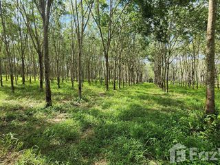For sale land in Thalang, Phuket