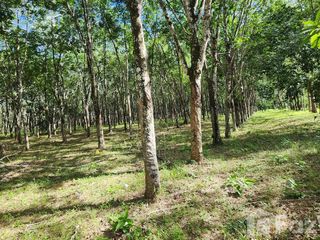 For sale land in Thalang, Phuket