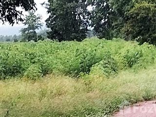 For sale land in Hankha, Chainat