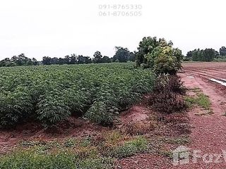 For sale land in Hankha, Chainat