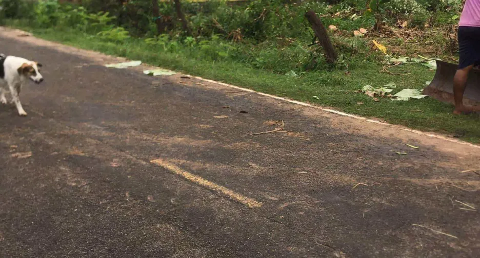 For sale land in Mueang Surin, Surin