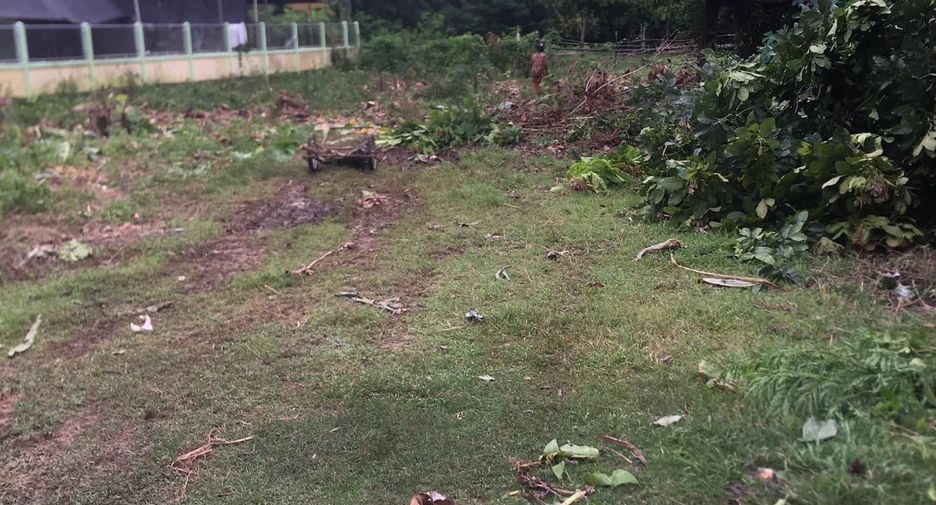 For sale land in Mueang Surin, Surin