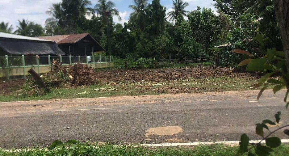 For sale land in Mueang Surin, Surin
