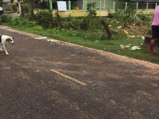 For sale land in Mueang Surin, Surin