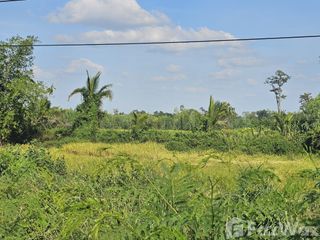 For sale land in Non Din Daeng, Buriram