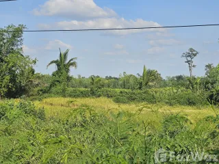 For sale land in Non Din Daeng, Buriram