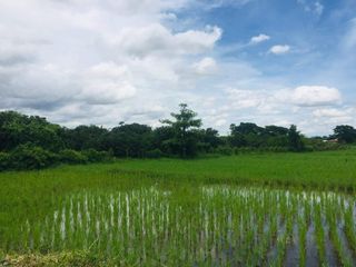 For sale land in Hang Dong, Chiang Mai