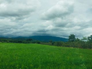 For sale land in Hang Dong, Chiang Mai