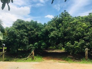 For sale land in Hang Dong, Chiang Mai