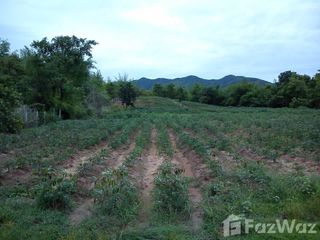 For sale land in Mueang Lampang, Lampang