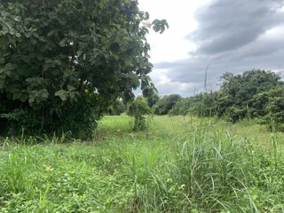 For sale land in Hang Dong, Chiang Mai