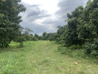 For sale land in Hang Dong, Chiang Mai
