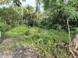 For sale land in Ko Samui, Surat Thani